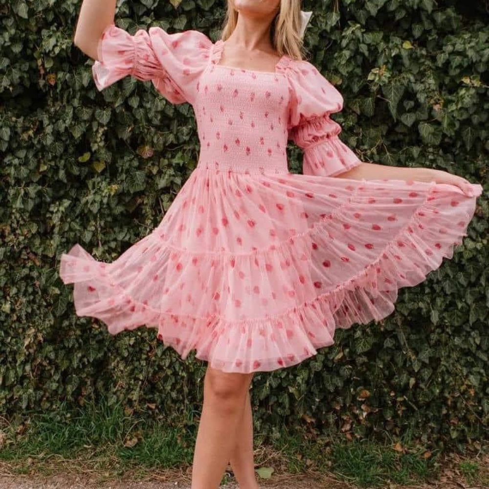 Ivy City Co Strawberry Fields Dress Size Small Women’s